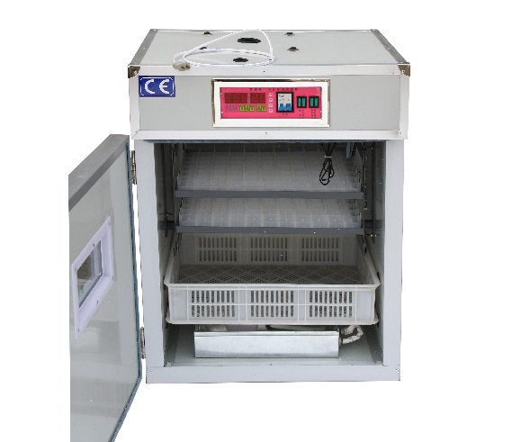 慧達(dá)176枚小型孵化機(jī)