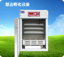慧達(dá)264枚小型孵化機(jī)
