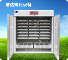 慧達(dá)1848枚中型孵化機(jī)