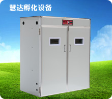 慧達(dá)3168枚全自動孵化機(jī)