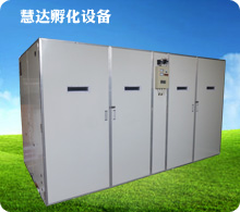 慧達(dá)19712枚全自動(dòng)孵化機(jī)