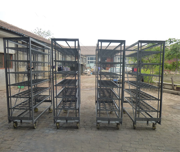 大型鴕鳥孵化蛋車