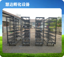 大型鴕鳥(niǎo)孵化蛋車(chē)