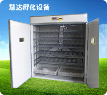 150枚鴕鳥孵化機